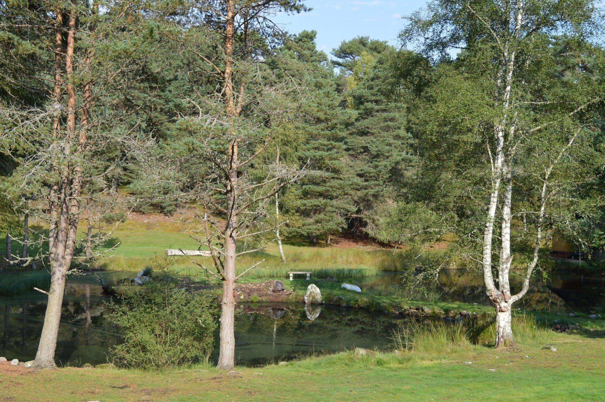 Fairwinds Hotel Carrbridge Bagian luar foto
